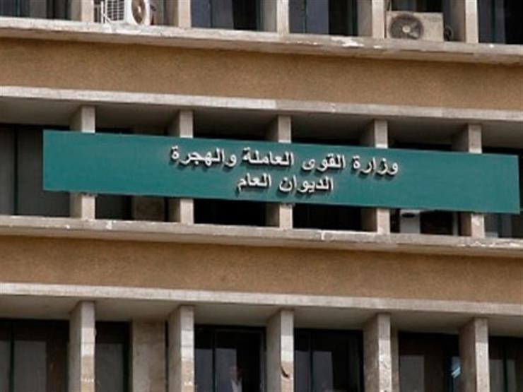 "القوى العاملة": حالة واحدة لتشغيل موظف القطاع الخاص بأجر إضافي غدًا "القوى العاملة": حالة واحدة لتشغيل موظف القطاع الخاص بأجر إضافي غدًا