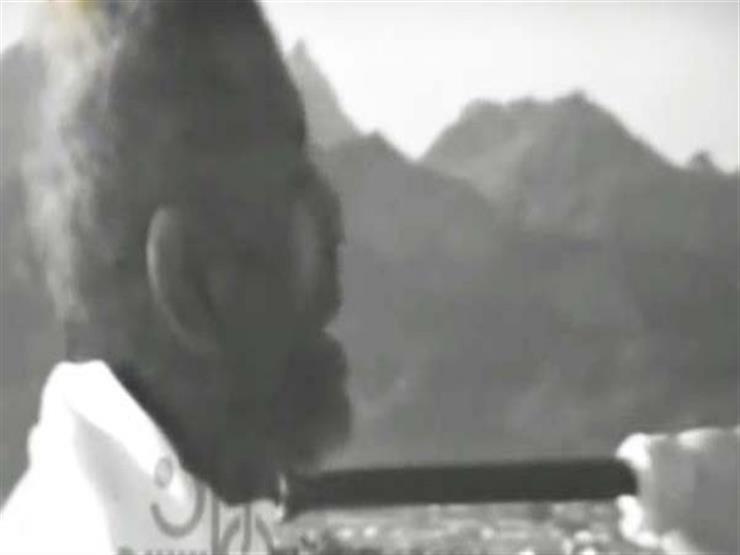 رجل غامض في السعودية كشف للشعراوي سرًا من أسرار ليلة القدر رجل غامض في السعودية كشف للشعراوي سرًا من أسرار ليلة القدر