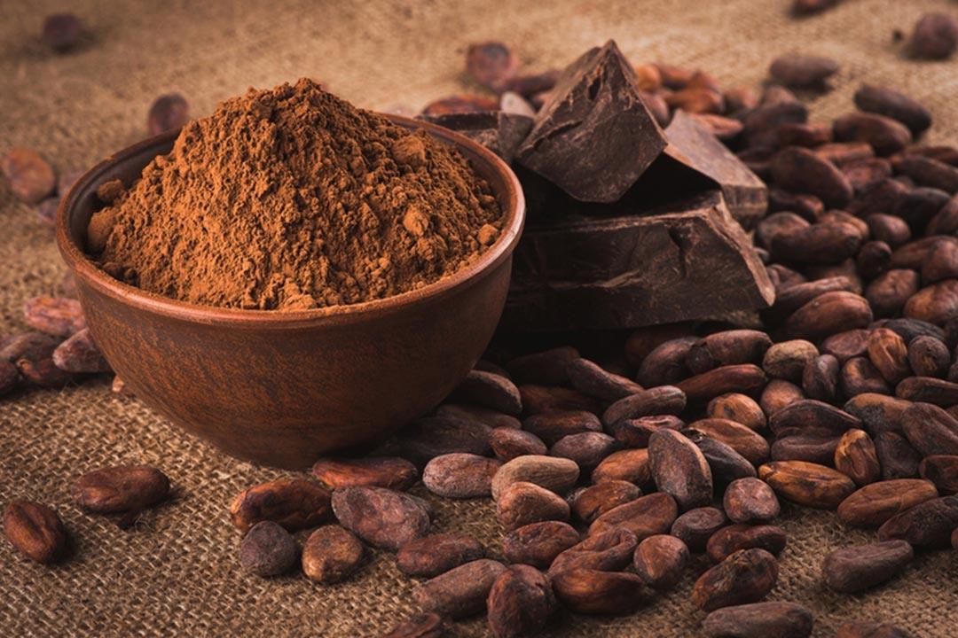 الكاكاو يقلل مخاطر الإصابة بالنوبات القلبية والخرف الكاكاو يقلل مخاطر الإصابة بالنوبات القلبية والخرف