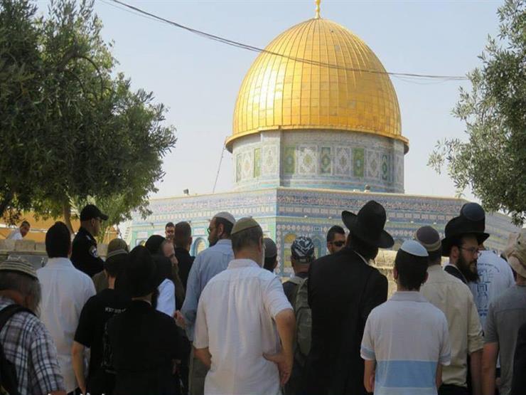 مباركة عقد زواج يهودي في ساحات المسجد الأقصى تحت حماية قوات الاحتلال مباركة عقد زواج يهودي في ساحات المسجد الأقصى تحت حماية قوات الاحتلال