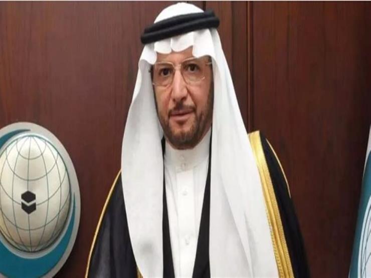 "التعاون الإسلامي" تؤكد أهمية تعزيز العلاقات السعودية الباكستانية "التعاون الإسلامي" تؤكد أهمية تعزيز العلاقات السعودية الباكستانية