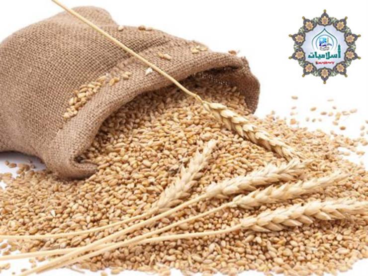 تعرف على أحكام زكاة الفطر؟ تعرف على أحكام زكاة الفطر؟