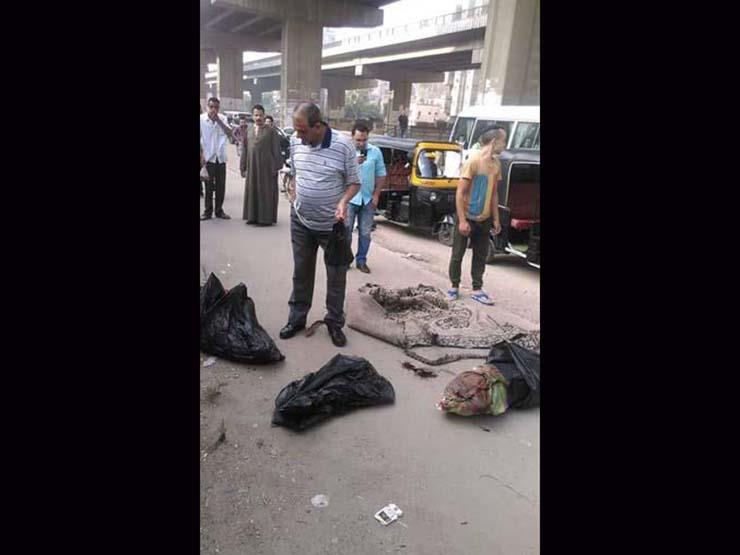 مصدر أمني: "نبش كلب" كشف واقعة جثث أطفال المريوطية مصدر أمني: "نبش كلب" كشف واقعة جثث أطفال المريوطية