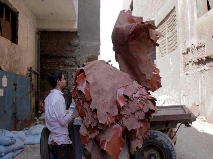 رغم إنشاء "الروبيكي".. لماذا تراجعت صادرات الجلود منذ بداية العام؟ رغم إنشاء "الروبيكي".. لماذا تراجعت صادرات الجلود منذ بداية العام؟