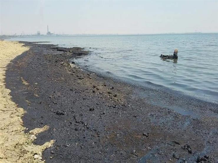 برلماني: التسرب النفطي المتكرر يهدد الحياة البحرية والبرية ويدمر السياحة برلماني: التسرب النفطي المتكرر يهدد الحياة البحرية والبرية ويدمر السياحة