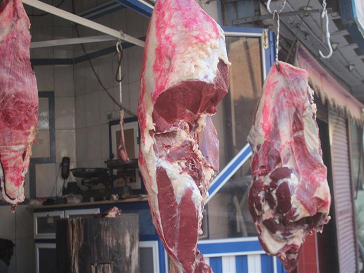 تموين الإسكندرية: تخفيض أسعار اللحوم السودانية حتى 15 يناير تموين الإسكندرية: تخفيض أسعار اللحوم السودانية حتى 15 يناير