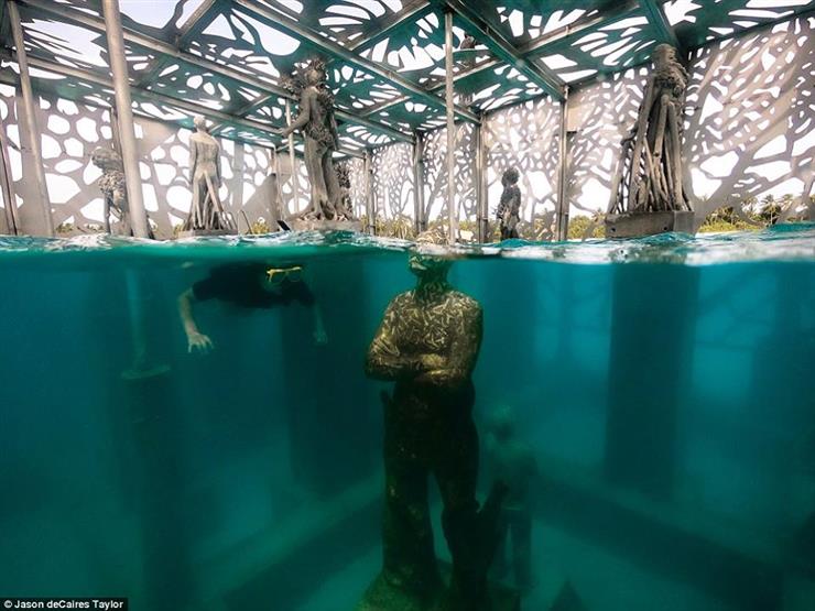 بالصور معرض Coralarium المغمور في المالديف جمال من نوع خاص مصراوى