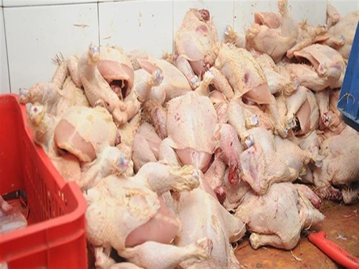 الزراعة: ضبط أكثر من 5 أطنان لحوم ودواجن فاسدة في أسبوع الزراعة: ضبط أكثر من 5 أطنان لحوم ودواجن فاسدة في أسبوع