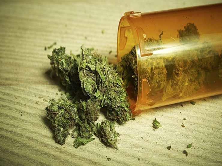 إحالة عاطلين للمحاكمة ضبط بحوزتهما كيلو فودو وسلاح بمدينة نصر إحالة عاطلين للمحاكمة ضبط بحوزتهما كيلو فودو وسلاح بمدينة نصر