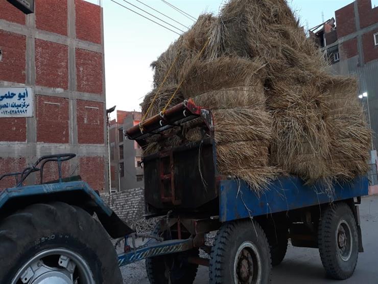 البيئة: حملة للتوعية بالاستفادة من قش الأرز في الدقهلية و4 مكابس جديدة بالمنصورة البيئة: حملة للتوعية بالاستفادة من قش الأرز في الدقهلية و4 مكابس جديدة بالمنصورة