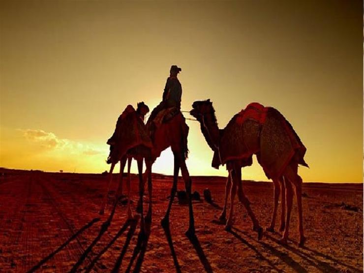 3 صور من عناية الله للرسول في الهجرة المباركة 3 صور من عناية الله للرسول في الهجرة المباركة