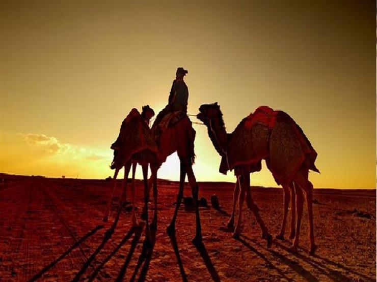 قيمةٌ من هجْرة النّبي: التخطيط والأخذُ بالأسباب قيمةٌ من هجْرة النّبي: التخطيط والأخذُ بالأسباب