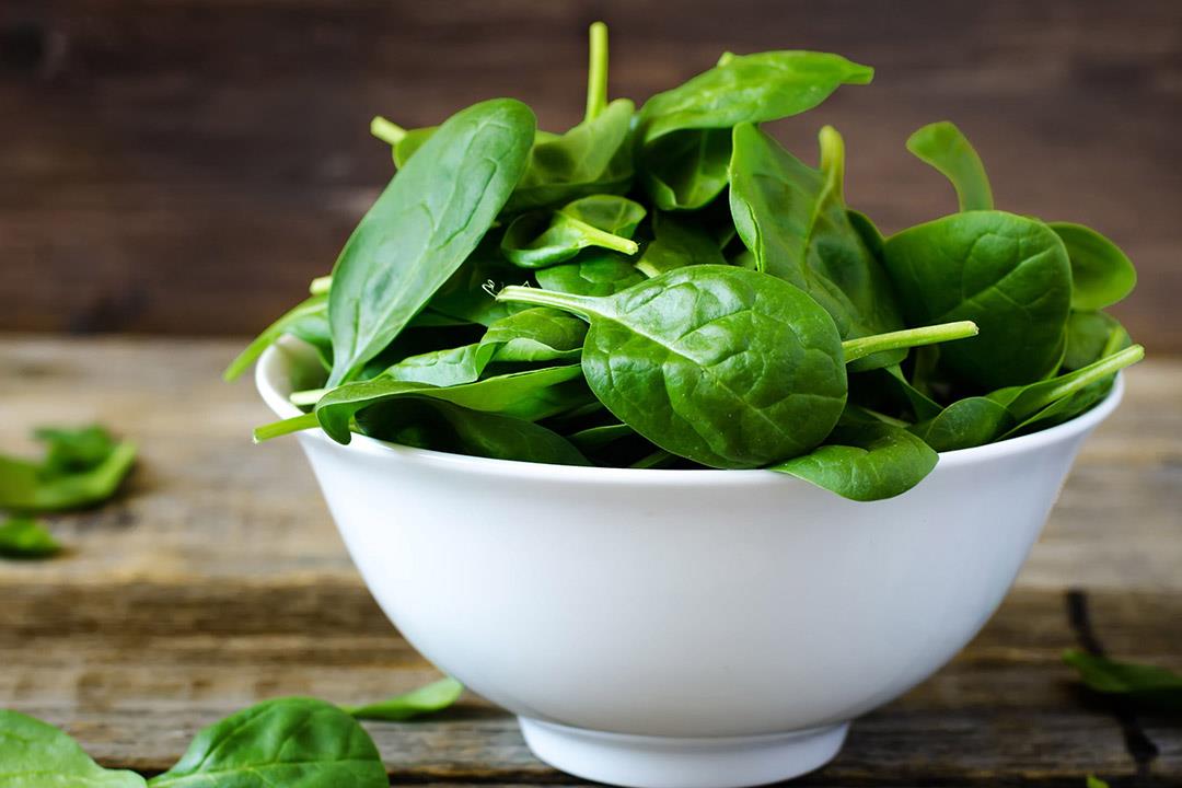 السبانخ غنية بالحديد ولكن لا تعالج الأنيميا.. لماذا؟ السبانخ غنية بالحديد ولكن لا تعالج الأنيميا.. لماذا؟