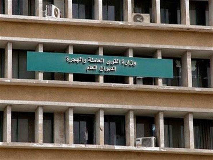 القوى العاملة: 13 وحدة متنقلة لتدريب الشباب بالقرى ضمن "حياة كريمة" القوى العاملة: 13 وحدة متنقلة لتدريب الشباب بالقرى ضمن "حياة كريمة"
