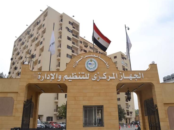 "التنظيم والإدارة" يوافق على الإعلان عن وظائف بوزارات النقل والتموين "التنظيم والإدارة" يوافق على الإعلان عن وظائف بوزارات النقل والتموين