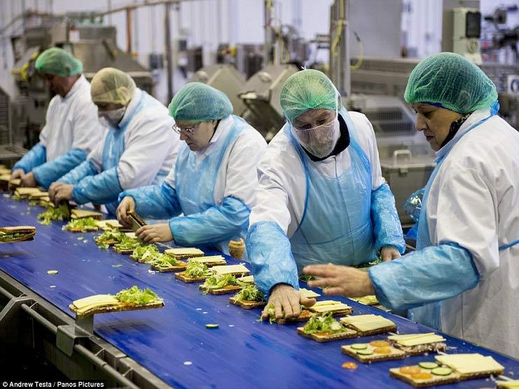 الإحصاء: 13% زيادة بالرقم القياسي لصناعة المنتجات الغذائية في نوفمبر الإحصاء: 13% زيادة بالرقم القياسي لصناعة المنتجات الغذائية في نوفمبر