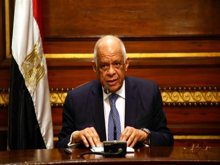 عبدالعال يوجه تحية للسيسي لسحبه استشكال الحكومة لعلاوات المعاشات عبدالعال يوجه تحية للسيسي لسحبه استشكال الحكومة لعلاوات المعاشات