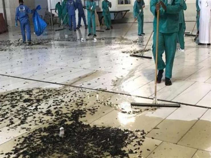 لماذا هاجمت "صراصير الليل" الحرم المكي لماذا هاجمت "صراصير الليل" الحرم المكي