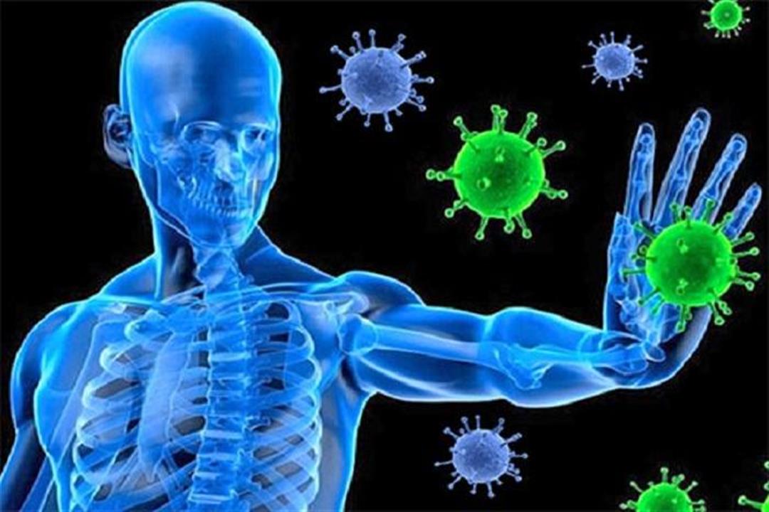 لتقوية المناعة.. قائمة بالأطعمة التي يفضل تناولها بين الوجبات لتقوية المناعة.. قائمة بالأطعمة التي يفضل تناولها بين الوجبات