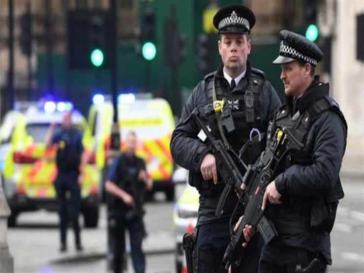 الشرطة البريطانية تعتقل 16 شخصًا شاركوا في مظاهرة ضد تدابير كورونا الشرطة البريطانية تعتقل 16 شخصًا شاركوا في مظاهرة ضد تدابير كورونا