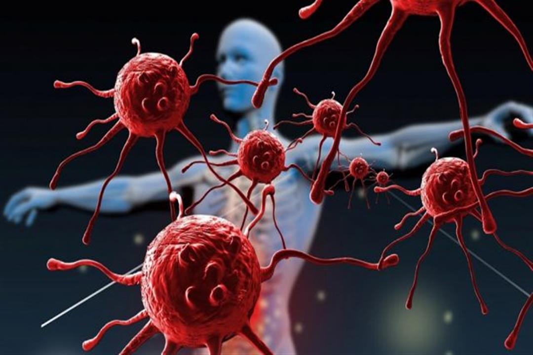 علاج بديل.. الخلايا الجذعية الأولية تحفز الجسم للقضاء على السرطان علاج بديل.. الخلايا الجذعية الأولية تحفز الجسم للقضاء على السرطان