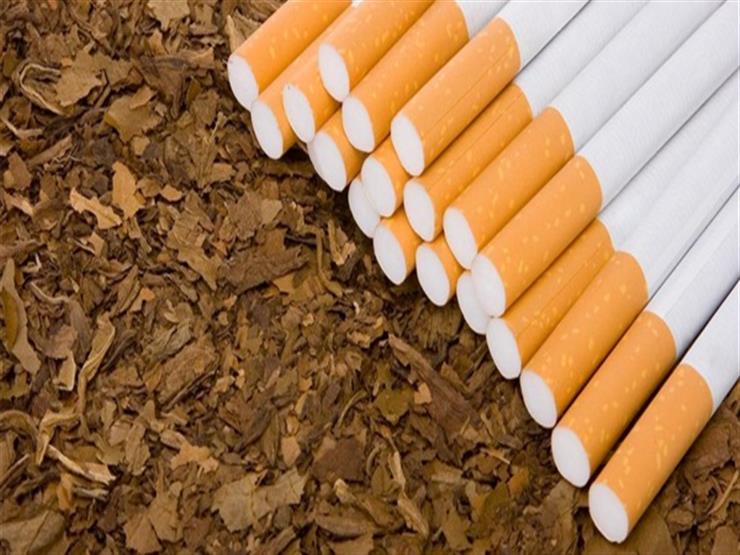 المشرعون في ولاية ماساشوسيتس يحظرون كل أنواع التبغ ذات النكهة المشرعون في ولاية ماساشوسيتس يحظرون كل أنواع التبغ ذات النكهة