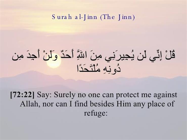 الروبي مفسرًا قوله تعالى {وَلَنْ أَجِدَ مِن دُونِهِ مُلْتَحَدًا} الروبي مفسرًا قوله تعالى {وَلَنْ أَجِدَ مِن دُونِهِ مُلْتَحَدًا}