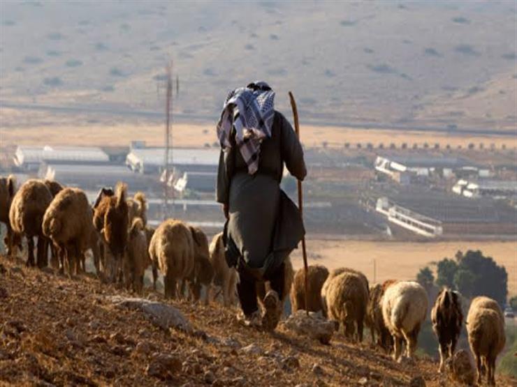 إصابة فلسطينيين اثنين برصاص مستوطنين شمال رام الله إصابة فلسطينيين اثنين برصاص مستوطنين شمال رام الله