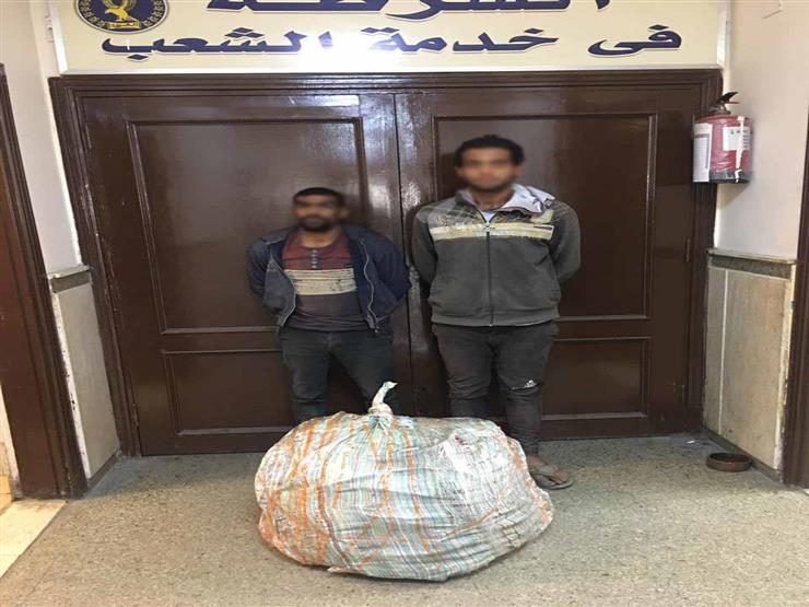 يقظة ضابط تسقط عصابة سرقة كابلات بالنزهة يقظة ضابط تسقط عصابة سرقة كابلات بالنزهة