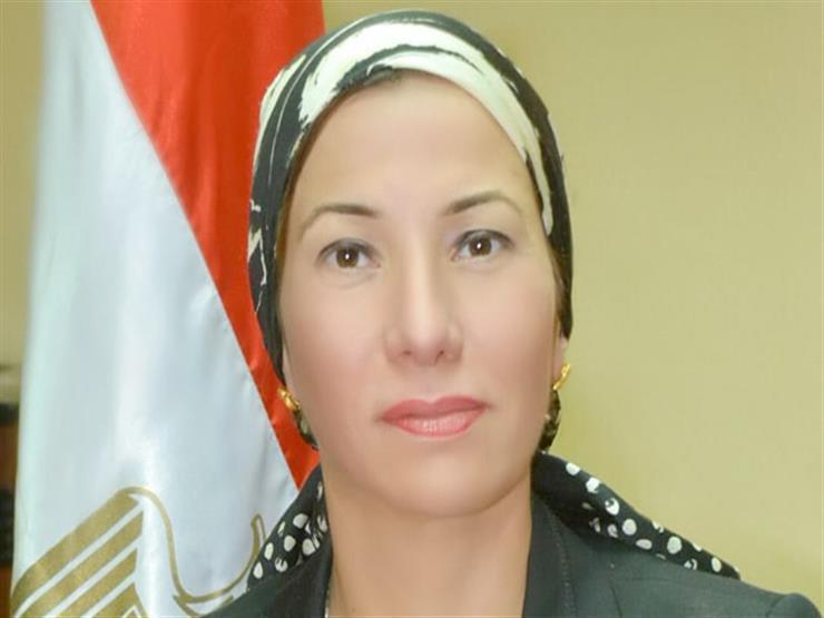 وزيرة البيئة تؤكد دعم مصر الدائم للمواقف العربية في قضايا المناخ وزيرة البيئة تؤكد دعم مصر الدائم للمواقف العربية في قضايا المناخ