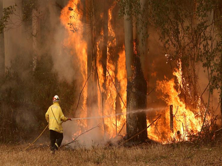 ارتفاع حصيلة القتلى إلى 14 جراء حرائق الغابات في أستراليا مصراوى