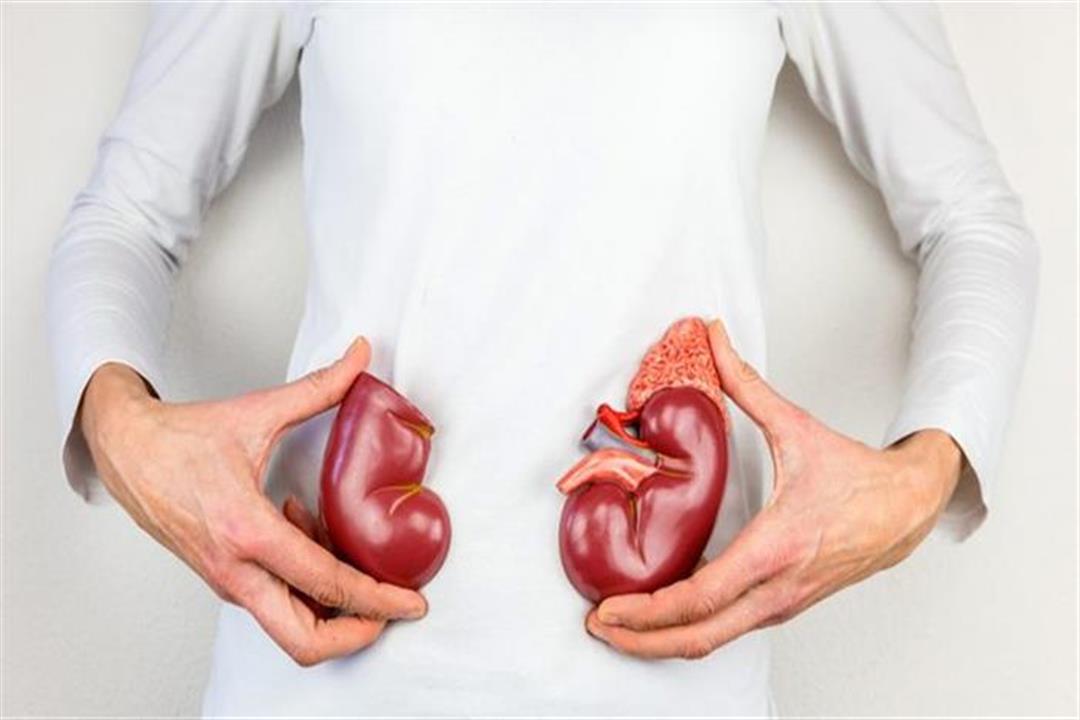 مع نقص هذا العنصر صحة الكلى في آمان مع نقص هذا العنصر صحة الكلى في آمان