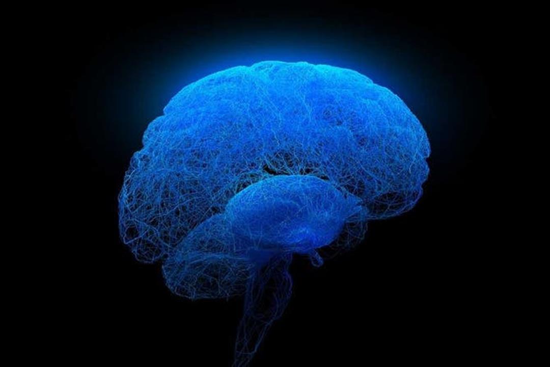 منها الاستماع لموسيقى صاخبة.. 5 عادات خاطئة تهدد بتلف المخ (صور) منها الاستماع لموسيقى صاخبة.. 5 عادات خاطئة تهدد بتلف المخ (صور)