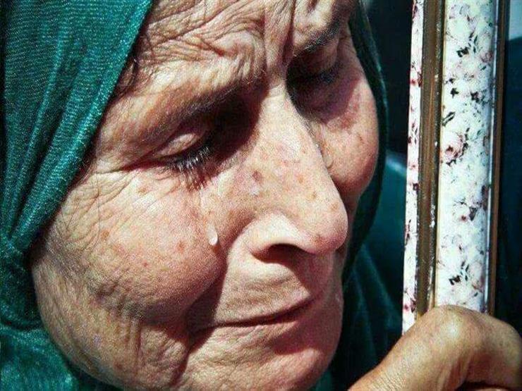 بالفيديو| أمين الفتوى: لا يجوز مقاطعة الوالدين ولو للضرر بالفيديو| أمين الفتوى: لا يجوز مقاطعة الوالدين ولو للضرر
