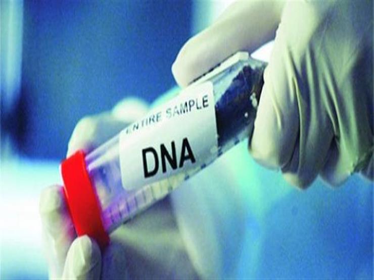 النيابة تتسلم نتيجة تحليل الـDNA لطفلي حضانة أوسيم.. والوالدان: "خدوهم" النيابة تتسلم نتيجة تحليل الـDNA لطفلي حضانة أوسيم.. والوالدان: "خدوهم"