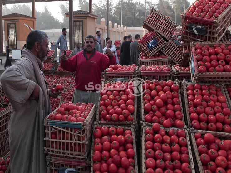الخضروات والأرز يقودان معدل التضخم الشهري إلى الارتفاع في يناير الخضروات والأرز يقودان معدل التضخم الشهري إلى الارتفاع في يناير