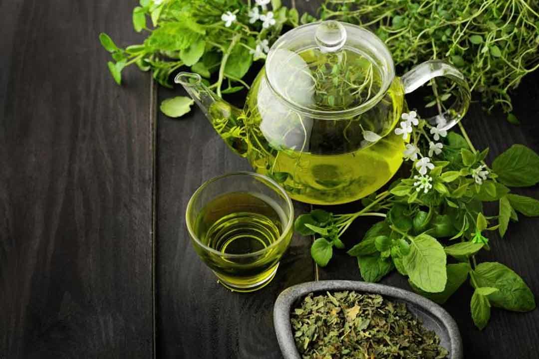 الشاي الأخضر يحفز الرغبة الجنسية عند السيدات.. حقيقة أم خرافة؟ الشاي الأخضر يحفز الرغبة الجنسية عند السيدات.. حقيقة أم خرافة؟