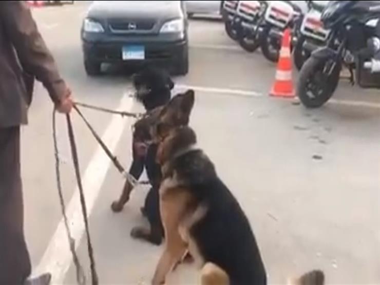 بعد قرار النائب العام.. مالك كلبي واقعة "طفل مدينتي" يسلمهما لقسم الشرطة -فيديو بعد قرار النائب العام.. مالك كلبي واقعة "طفل مدينتي" يسلمهما لقسم الشرطة -فيديو