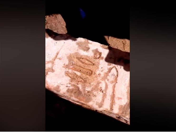 فيديو| اللحظات الأولى لعثور "عمال الصرف" على "عمود أثري" في كفر الشيخ فيديو| اللحظات الأولى لعثور "عمال الصرف" على "عمود أثري" في كفر الشيخ