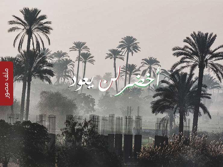 أخضر لن يعود.. حضارة الخرسانة على ضفاف الدائري (ملف مصور) أخضر لن يعود.. حضارة الخرسانة على ضفاف الدائري (ملف مصور)