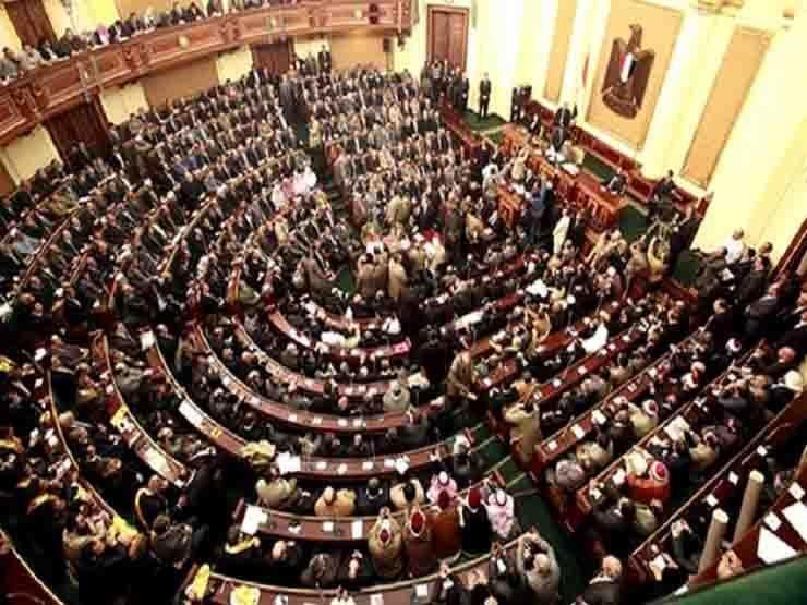 ممثل مصلحة الجمارك: التهريب الجمركي جريمة مخلة بالشرف في القانون الجديد ممثل مصلحة الجمارك: التهريب الجمركي جريمة مخلة بالشرف في القانون الجديد
