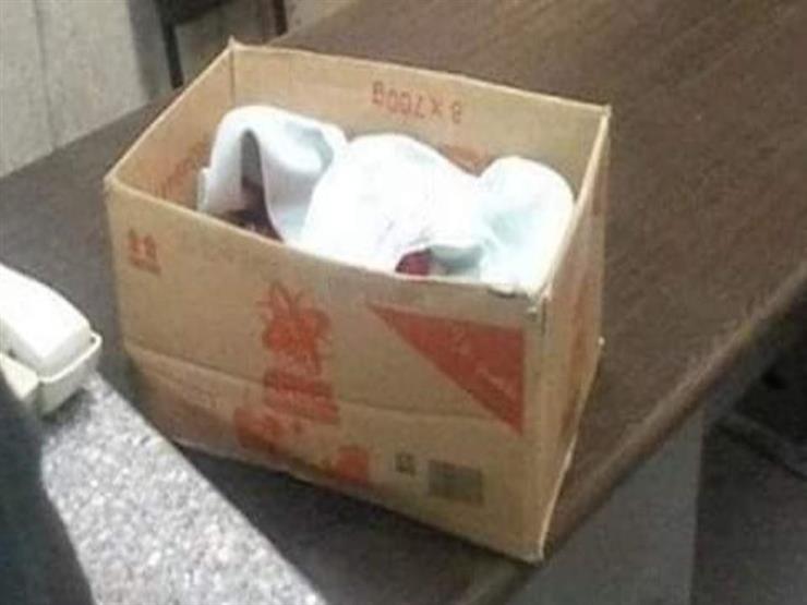 صور لن تمر في تونس.. جثث رضع في علب كرتونية مصراوى