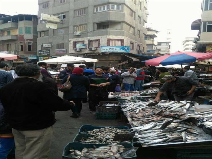 أسعار السمك في دمياط.. "البلطي" يقفز إلى 60 جنيهًا و"كافيار الغلابة" بـ 80 أسعار السمك في دمياط.. "البلطي" يقفز إلى 60 جنيهًا و"كافيار الغلابة" بـ 80