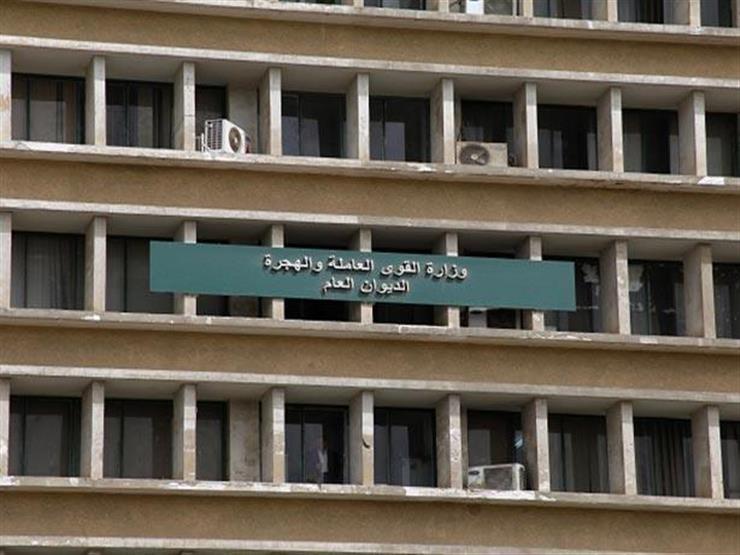 اليوم.. تلقي طلبات المتقدمين على 194 فرصة عمل بالقليوبية اليوم.. تلقي طلبات المتقدمين على 194 فرصة عمل بالقليوبية
