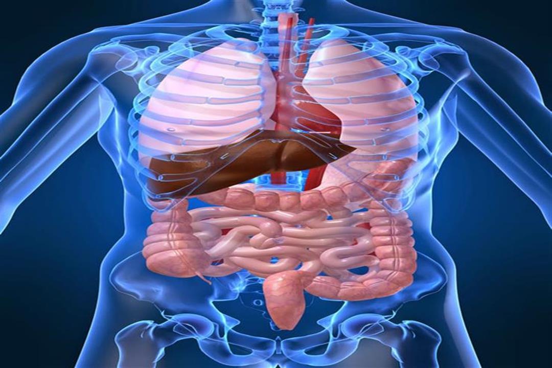 بالأرقام.. اطمئن على صحتك وتعرف على المعدلات الطبيعية لأجهزة جسمك بالأرقام.. اطمئن على صحتك وتعرف على المعدلات الطبيعية لأجهزة جسمك