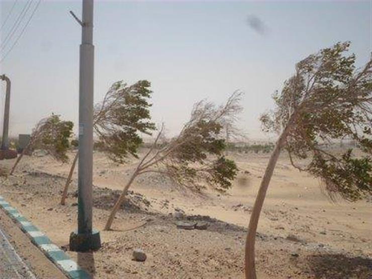 رياح خفيفة محملة بالأتربة في الوادي الجديد رياح خفيفة محملة بالأتربة في الوادي الجديد
