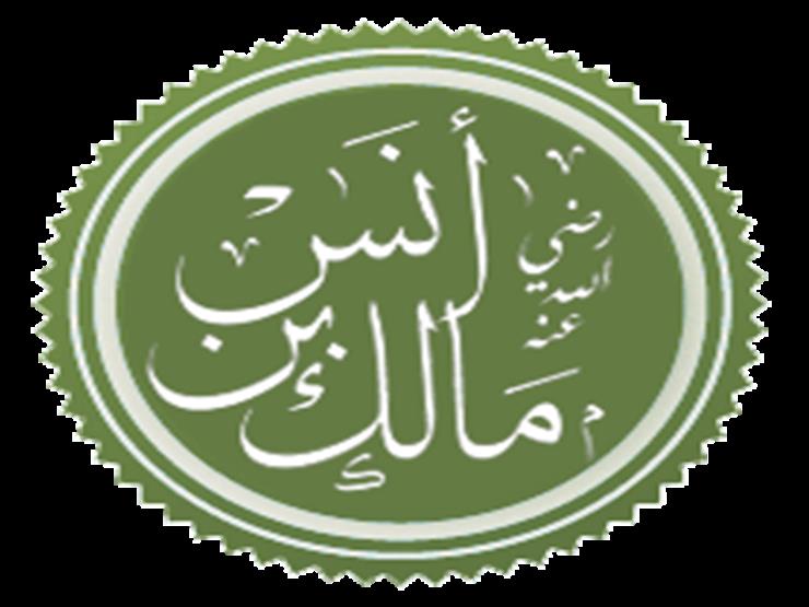 أمهات صنعن رجالا: أم الإمام مالك بن أنس.. حجة الأمة (3) أمهات صنعن رجالا: أم الإمام مالك بن أنس.. حجة الأمة (3)
