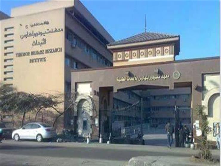 "بلهارس للأبحاث" يناقش المستحدثات العلمية في تطبيقات الخلايا الجذعية "بلهارس للأبحاث" يناقش المستحدثات العلمية في تطبيقات الخلايا الجذعية