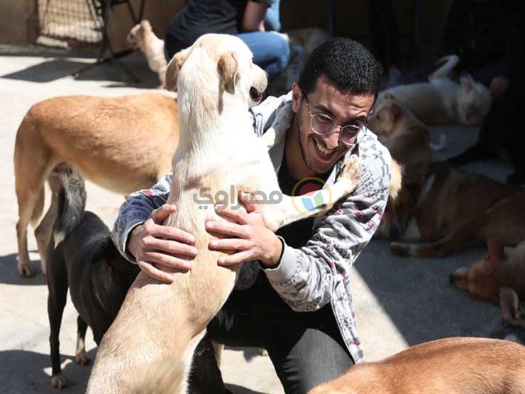 بالصور- رحلة كل جمعة.. زيارة لملجأ الكلاب والقطط "عشان الحيوانات تتبسط" بالصور- رحلة كل جمعة.. زيارة لملجأ الكلاب والقطط "عشان الحيوانات تتبسط"