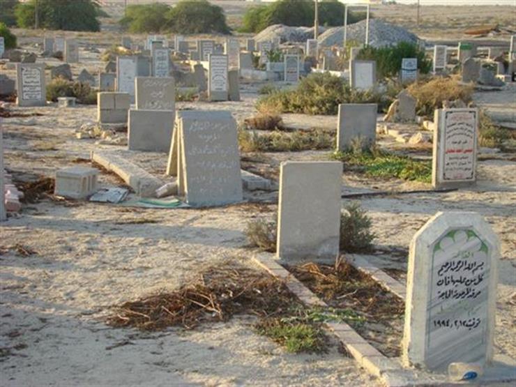 هل يجوز شق طريق بين المقابر؟.. الإفتاء تجيب هل يجوز شق طريق بين المقابر؟.. الإفتاء تجيب